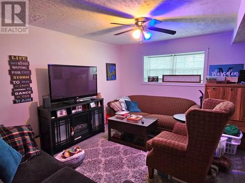 49 Princess Avenue, Corner Brook, NL - Indoor Photo Showing Living Room