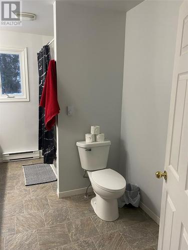 19 Townview Drive, Glovertown, NL - Indoor Photo Showing Bathroom