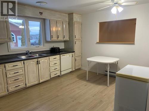 19 Townview Drive, Glovertown, NL - Indoor Photo Showing Kitchen With Double Sink