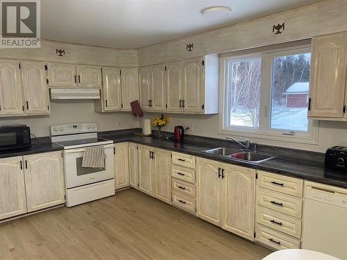 19 Townview Drive, Glovertown, NL - Indoor Photo Showing Kitchen With Double Sink