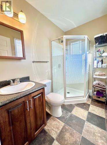 20 Bare Mountain Road, Clarenville, NL - Indoor Photo Showing Bathroom