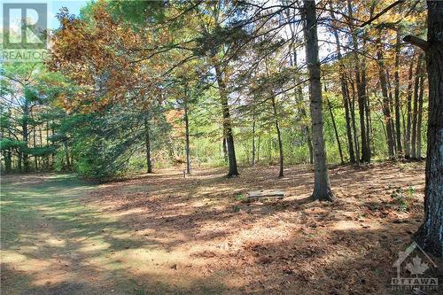 Beautiful pine forest - 1776 Radage Road, Kingston, ON - Outdoor With View