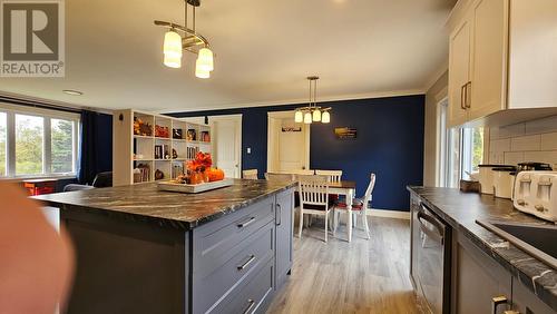 3 Forest Road, Chance Cove, NL - Indoor Photo Showing Kitchen