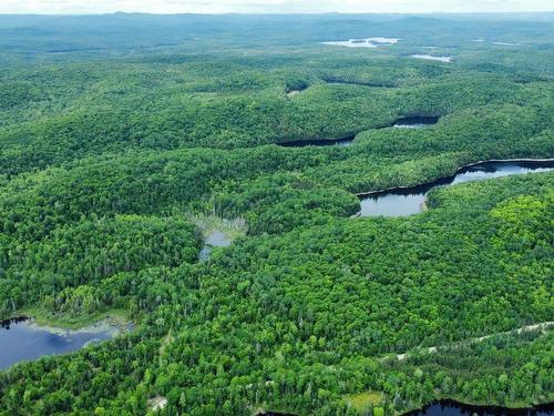 Vue d'ensemble - Ch. Preston, La Minerve, QC 