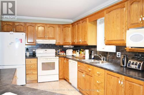 123 O'Reilly Lane, Kawartha Lakes, ON - Indoor Photo Showing Kitchen With Double Sink
