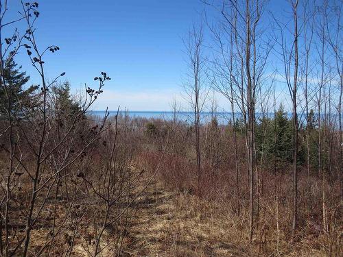 Lot 6 Shore Road, Parkers Cove, NS 