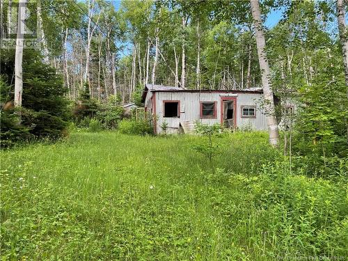 755 Cape Road, Newburg, NB 