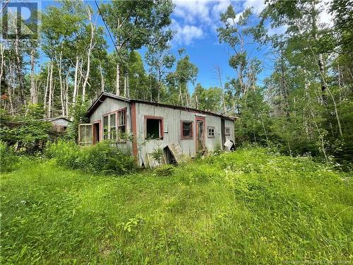 755 Cape Road, Newburg, NB 