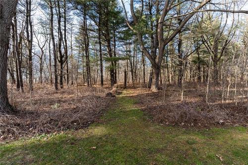 1043 Jerseyville Road W, Ancaster, ON - Outdoor With View