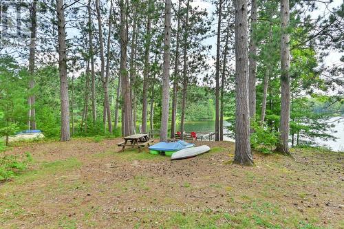 1196B Head Rd, North Frontenac, ON - Outdoor