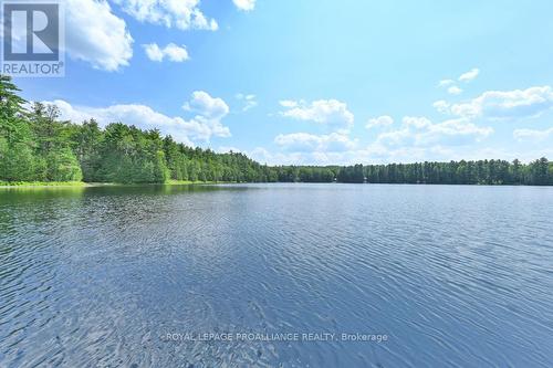1196B Head Rd, North Frontenac, ON - Outdoor With Body Of Water With View
