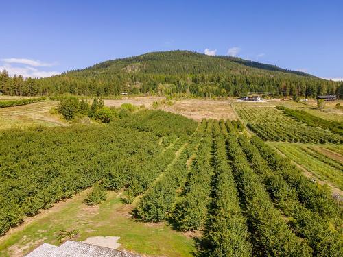 3004 Highway 3, Erickson, BC - Outdoor With View