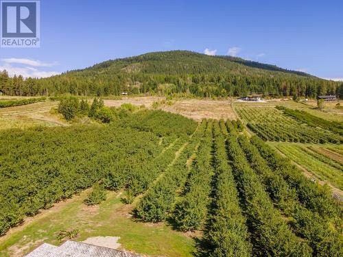 3004  3 Highway, Erickson, BC - Outdoor With View