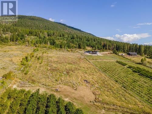 3004  3 Highway, Erickson, BC - Outdoor With View