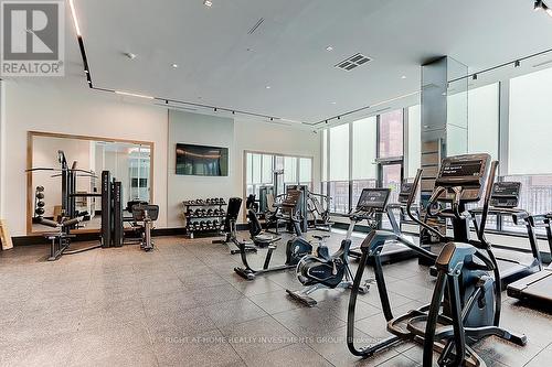 418 - 250 Lawrence Avenue W, Toronto, ON - Indoor Photo Showing Gym Room