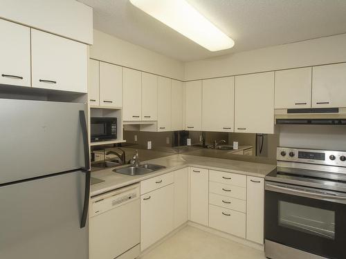 202 165 Court Street N, Thunder Bay, ON - Indoor Photo Showing Kitchen With Double Sink