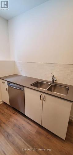 213 - 781 Clare Avenue, Welland, ON - Indoor Photo Showing Kitchen With Double Sink