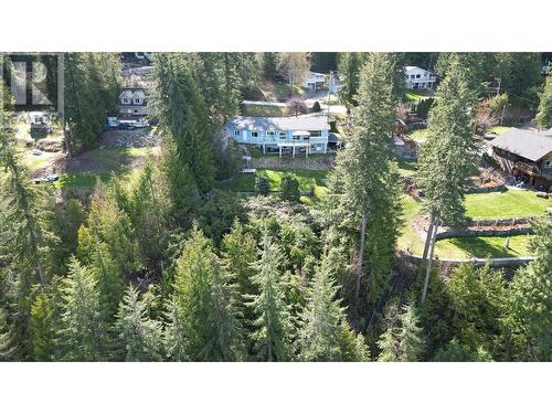 4003 Greaves Road, Eagle Bay, BC - Outdoor With View