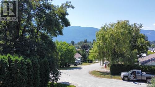 303 Nelson Avenue, Nakusp, BC - Outdoor With View