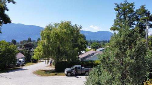303 Nelson Avenue, Nakusp, BC - Outdoor With View
