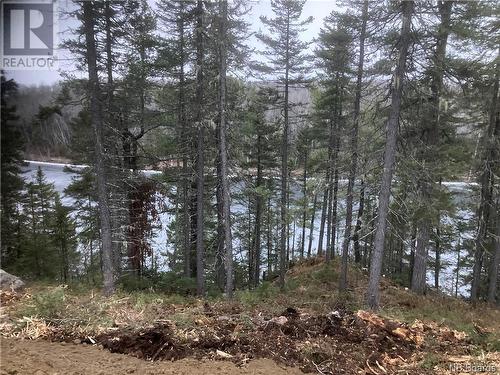 Lot 2016-9 Portage Road, Nepisiguit Falls, NB 