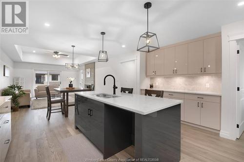 68 Graf Street, Harrow, ON - Indoor Photo Showing Kitchen With Double Sink With Upgraded Kitchen