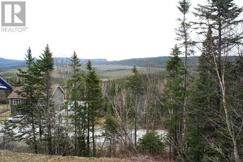 172 Hillview Drive, Cox'S Cove, NL - Outdoor With View