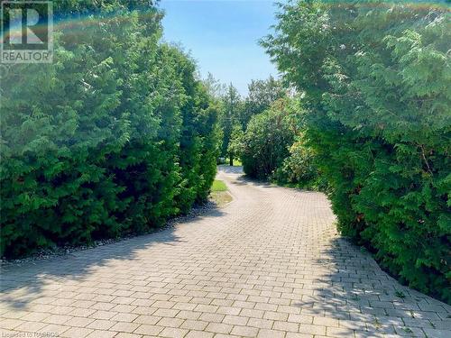 A custom interlocking stone winding driveway leads the main house. - 61 North Shore Road, Northern Bruce Peninsula, ON - Outdoor
