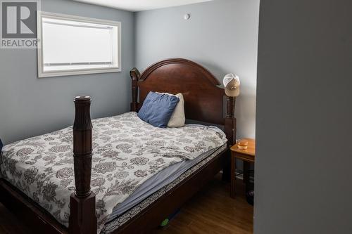 29 Belvedere Street, St. John'S, NL - Indoor Photo Showing Bedroom