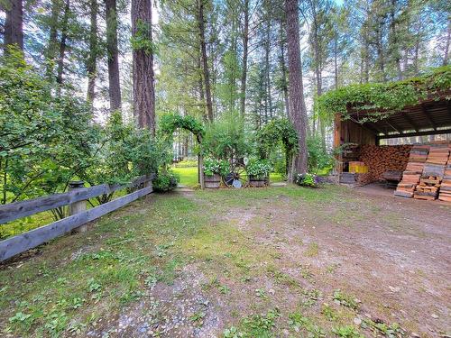 5041 Hewitt Road, Edgewater, BC - Outdoor