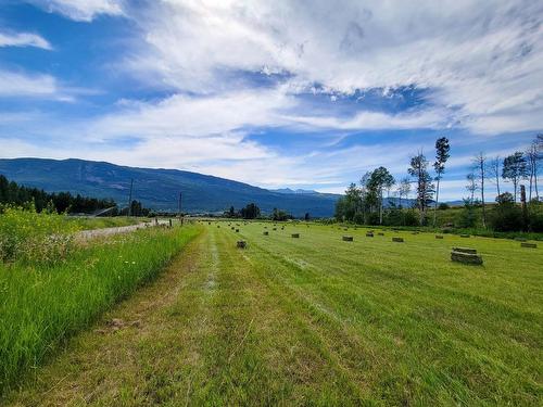 5041 Hewitt Road, Edgewater, BC - Outdoor With View