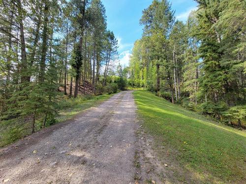 5041 Hewitt Road, Edgewater, BC - Outdoor With View