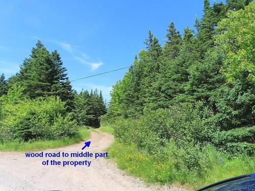 Lot 4 Highway 4, Soldiers Cove, NS 