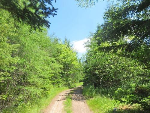 Lot 4 Highway 4, Soldiers Cove, NS 