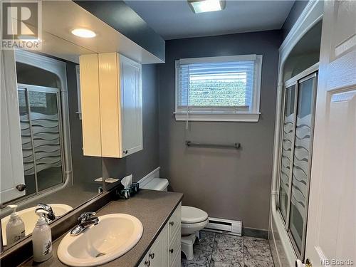 92 Coldbrook Road, Grand Falls, NB - Indoor Photo Showing Bathroom