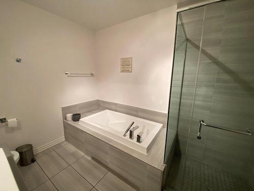 Bathroom - 304-3755 Av. Jean-Béraud, Laval (Chomedey), QC - Indoor Photo Showing Bathroom