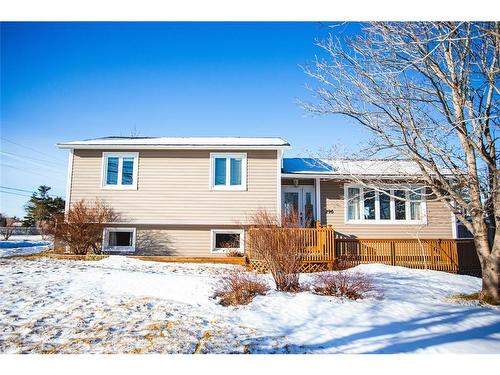 296 Fowlers Road, Conception Bay South, NL 
