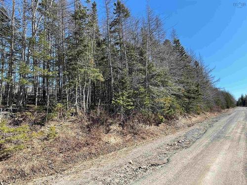 Lot 22-3 River Denys Road, Judique, NS 