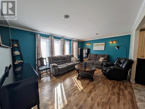 226 Little  Port Road, Lark Harbour, NL - Indoor Photo Showing Living Room