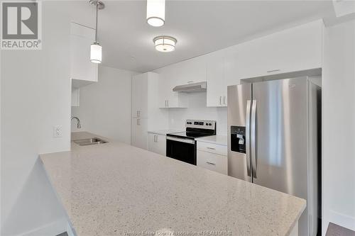 2550 Sandwich West Parkway Unit# 503, Lasalle, ON - Indoor Photo Showing Kitchen With Double Sink With Upgraded Kitchen