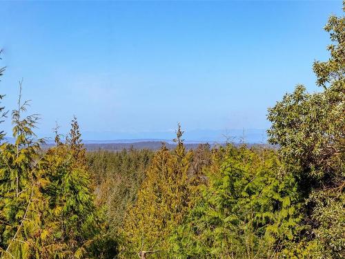 1860 Ashling Rd, Qualicum Beach, BC - Outdoor With View