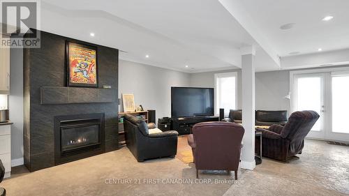 22930 Thames Road, Southwest Middlesex, ON - Indoor With Fireplace