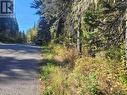 2292 Eagle Creek Road, Canim Lake, BC 