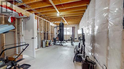 7 Bulrush Avenue, St. John'S, NL - Indoor Photo Showing Basement