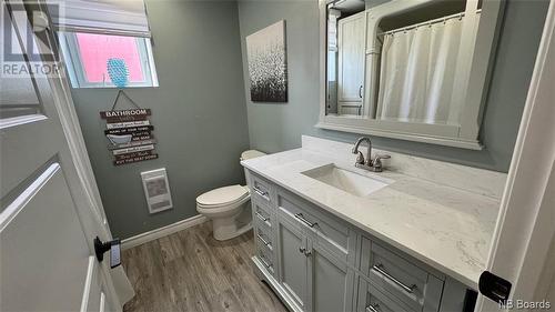 72 Rue Mockler, Grand Falls, NB - Indoor Photo Showing Bathroom