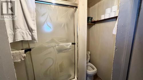432 Connaught Ave, Sault Ste. Marie, ON - Indoor Photo Showing Bathroom