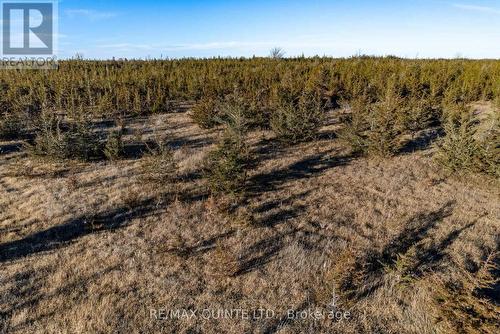 3526 County Road 13, Prince Edward County, ON 