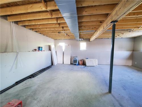 17 Mulberry Avenue, Niverville, MB - Indoor Photo Showing Basement