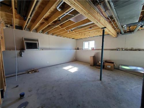 17 Mulberry Avenue, Niverville, MB - Indoor Photo Showing Basement