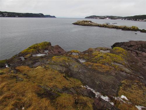 43 Cove Road, Colliers, NL 